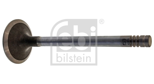 Intake Valve